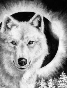 Eclipse by Paul Bielaczyc